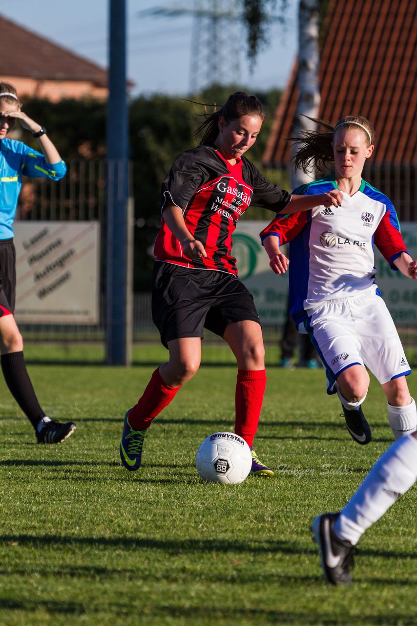 Bild 202 - B-Juniorinnen SG Wilstermarsch - SV Henstedt Ulzburg : Ergebnis: 5:1